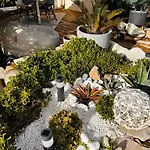 Bord De Mer, Superbe Confort * 耶尔