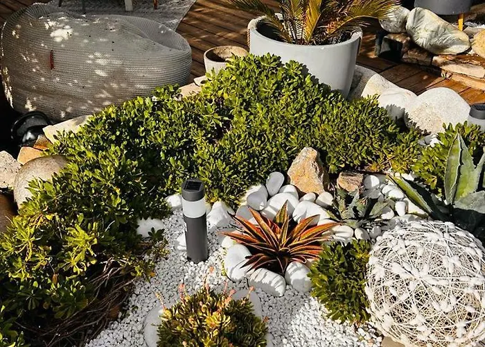 Bord De Mer, Superbe Confort * Hyères